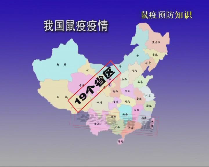 鼠疫宣传片02.jpg