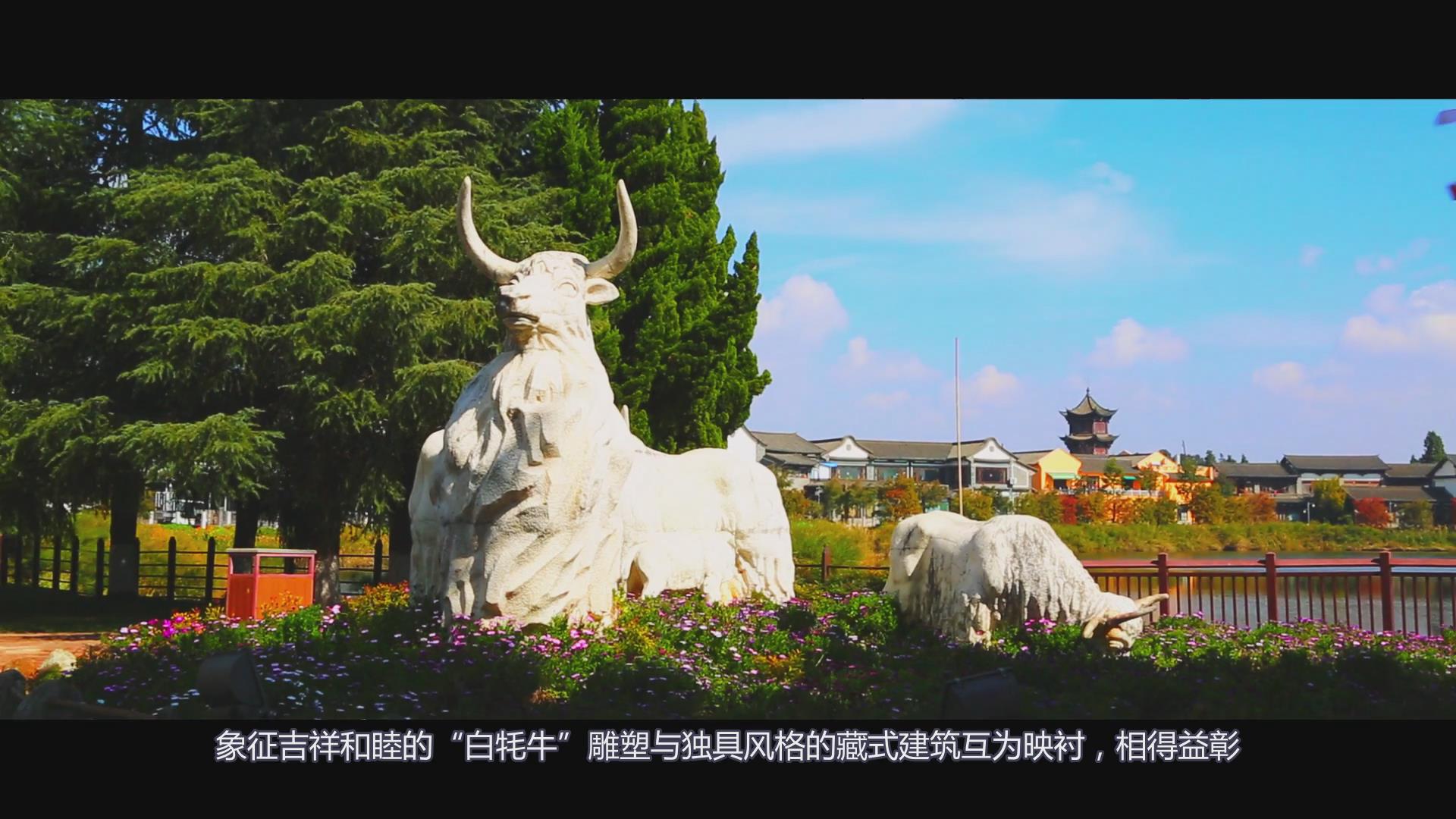 藏族介绍 08.jpg
