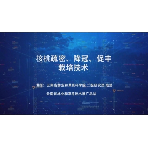 核桃疏密降冠速丰栽培技术      上   形象片制作    